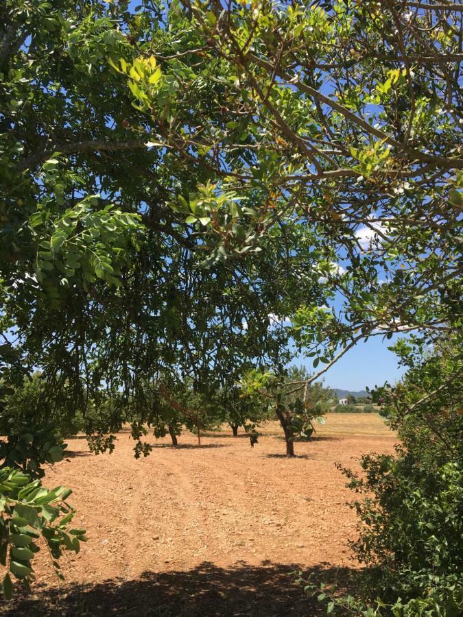 Willa Finca Es Vinyet Porreres Zewnętrze zdjęcie